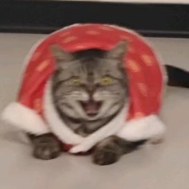 欧米米