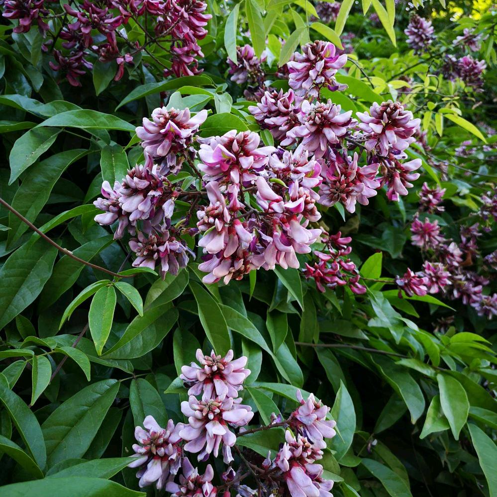 万家福生鲜甄选