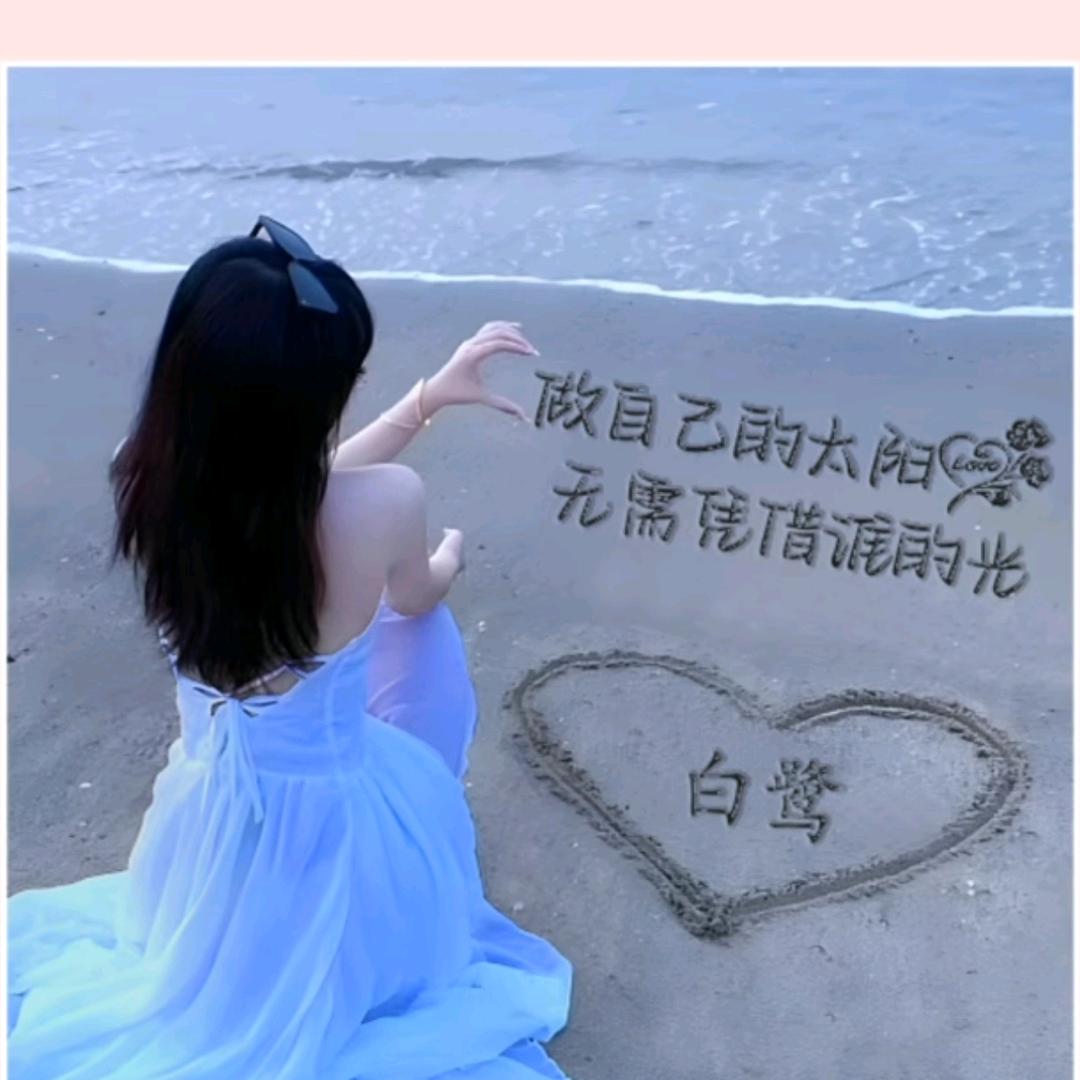 ✨ 白鹭