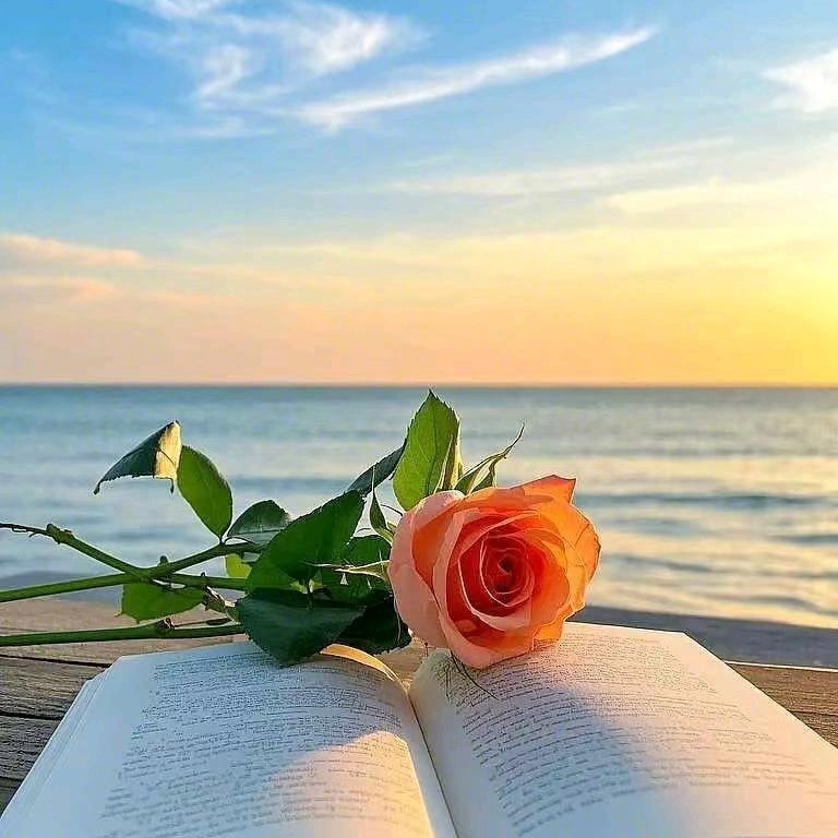 幸福我只字不提