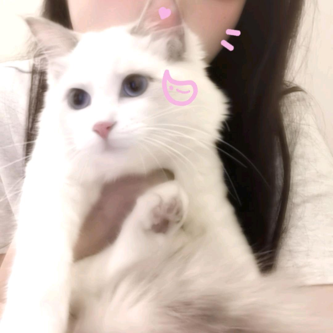 兔儿