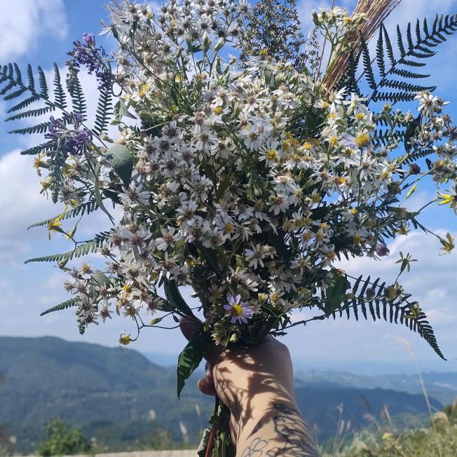 ʚᥫᩣEMO𐂂的小姐姐🐾（连赞拉黑）