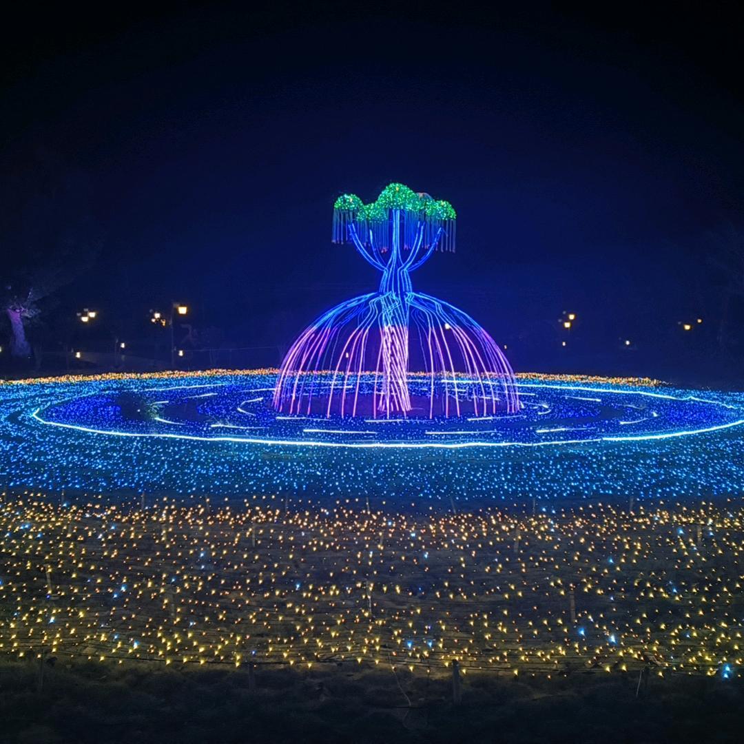 ꧔ꦿ℘茵为💞᭄᪲ᩚ꯭ᩚ有你꧔ꦿ᭄