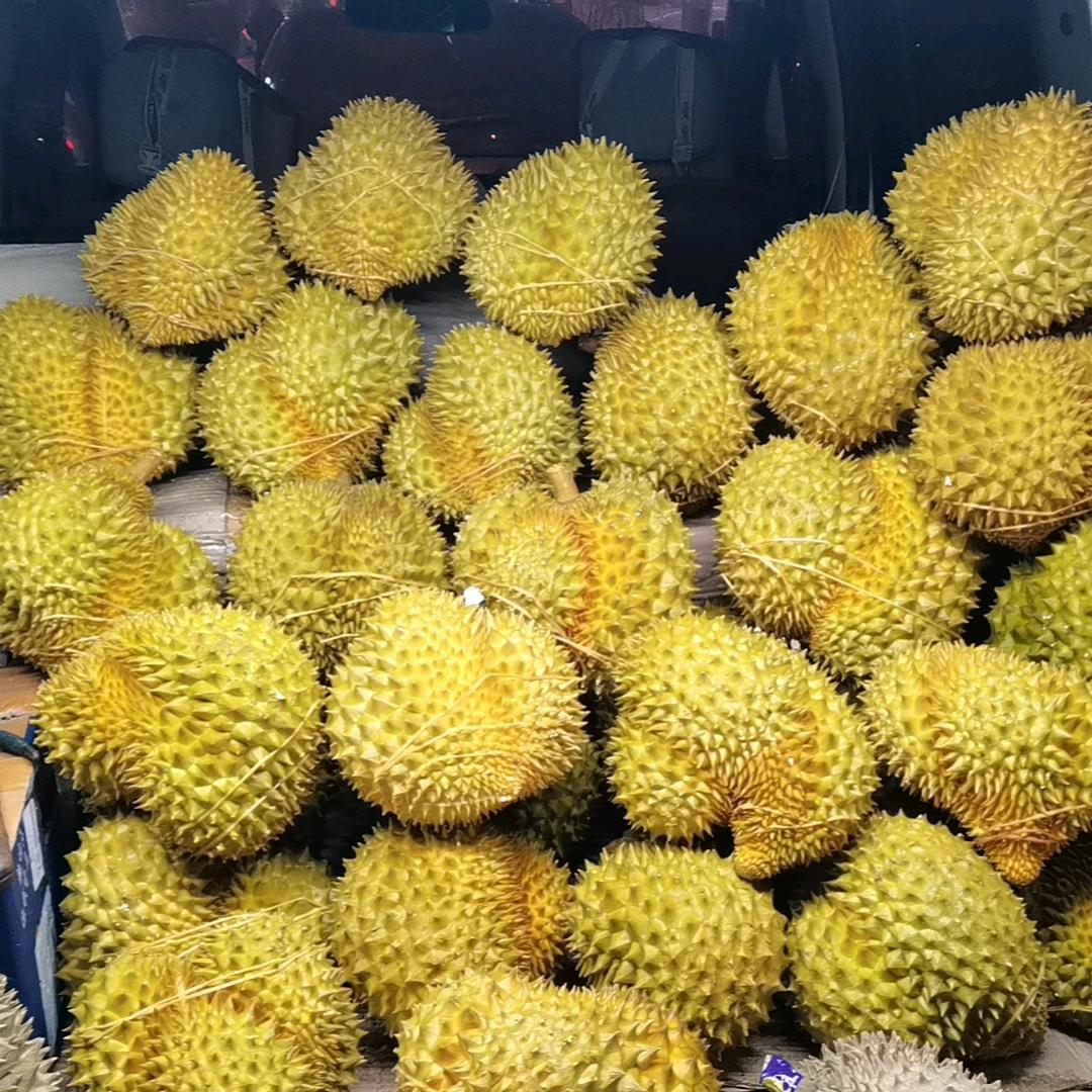 榴莲果果