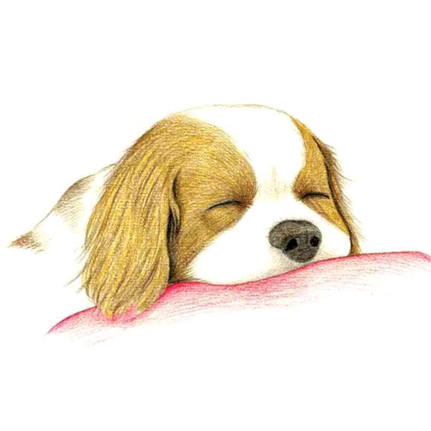 如烟似期诗华年