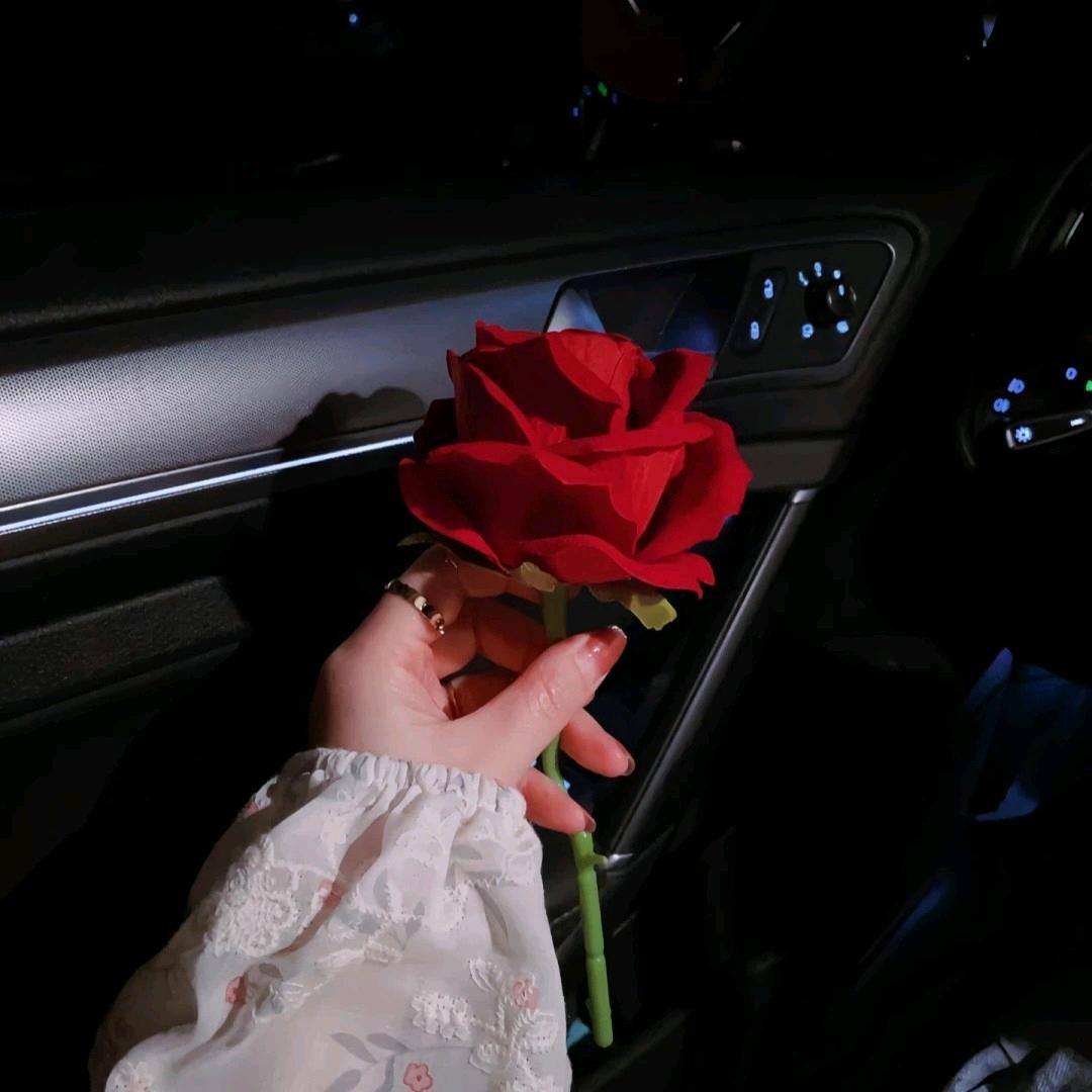 💫 ˚ʚ 若初 ɞ˚