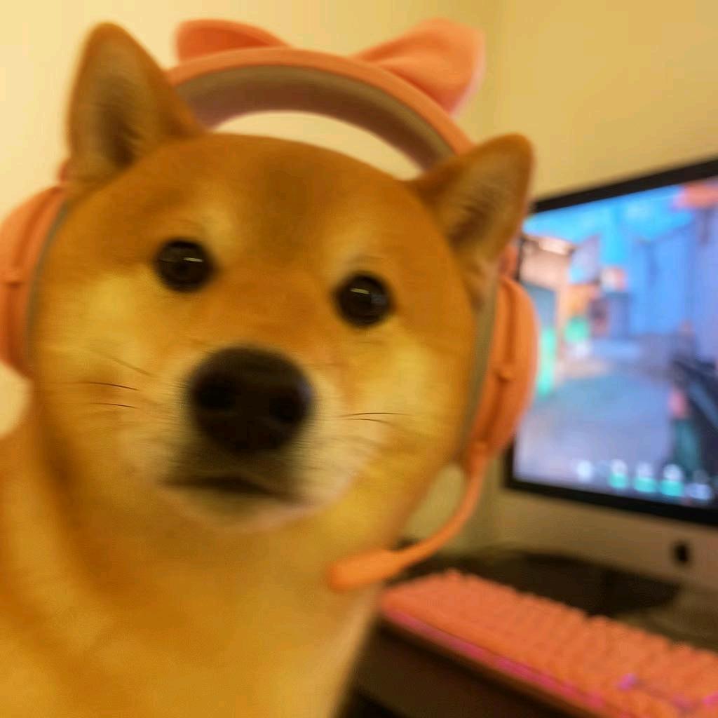 Azhe也想上赋能