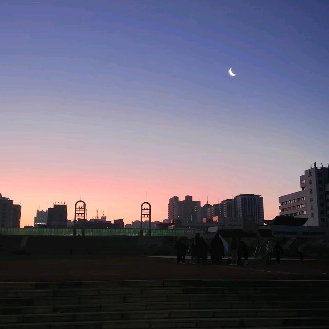 芝士小苒