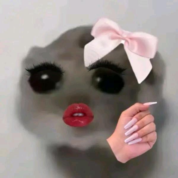 蜘蛛大王
