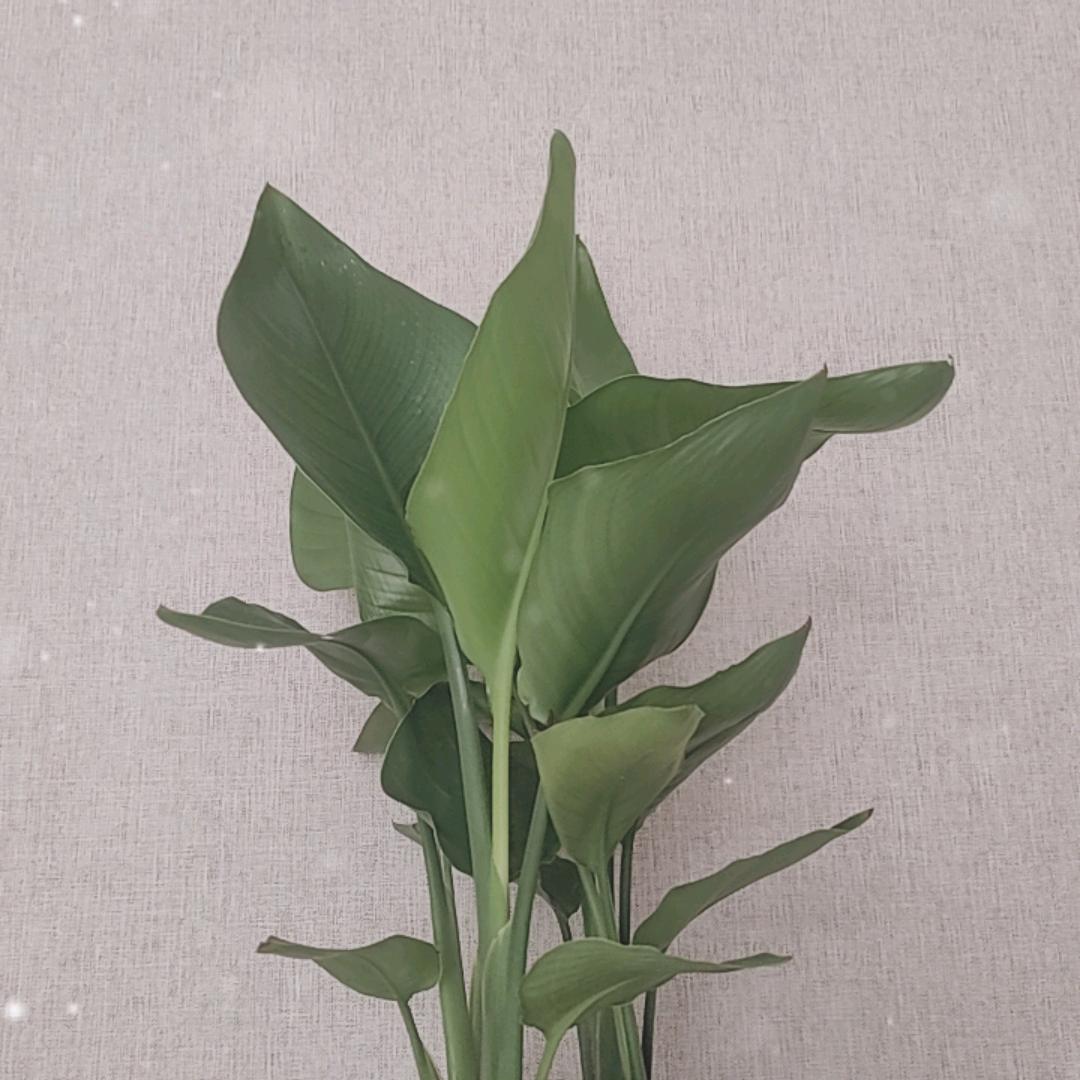 善行善念