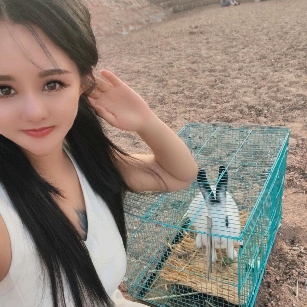 肉肉兔姐