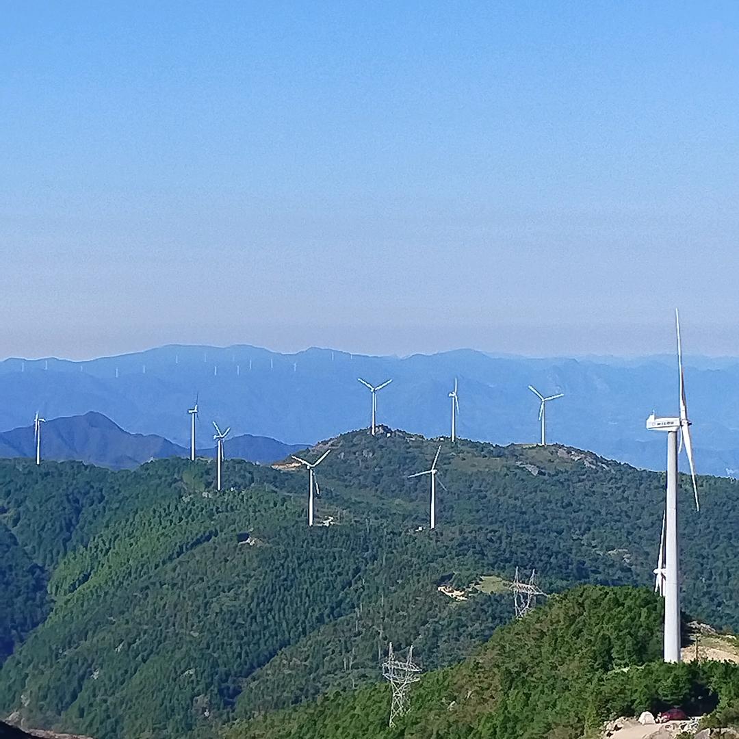 鸿运当头