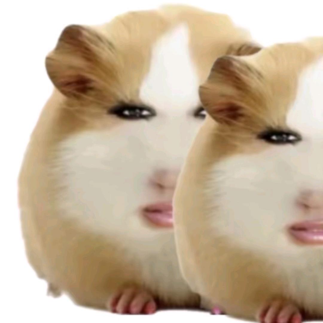 大米