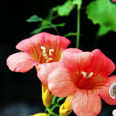 心平心静看世界