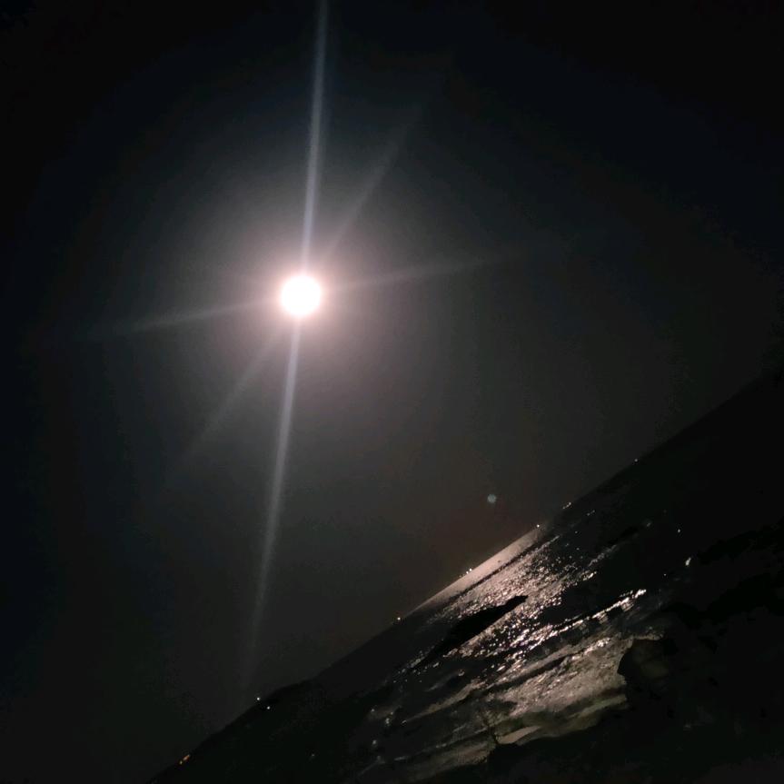 不羁之风