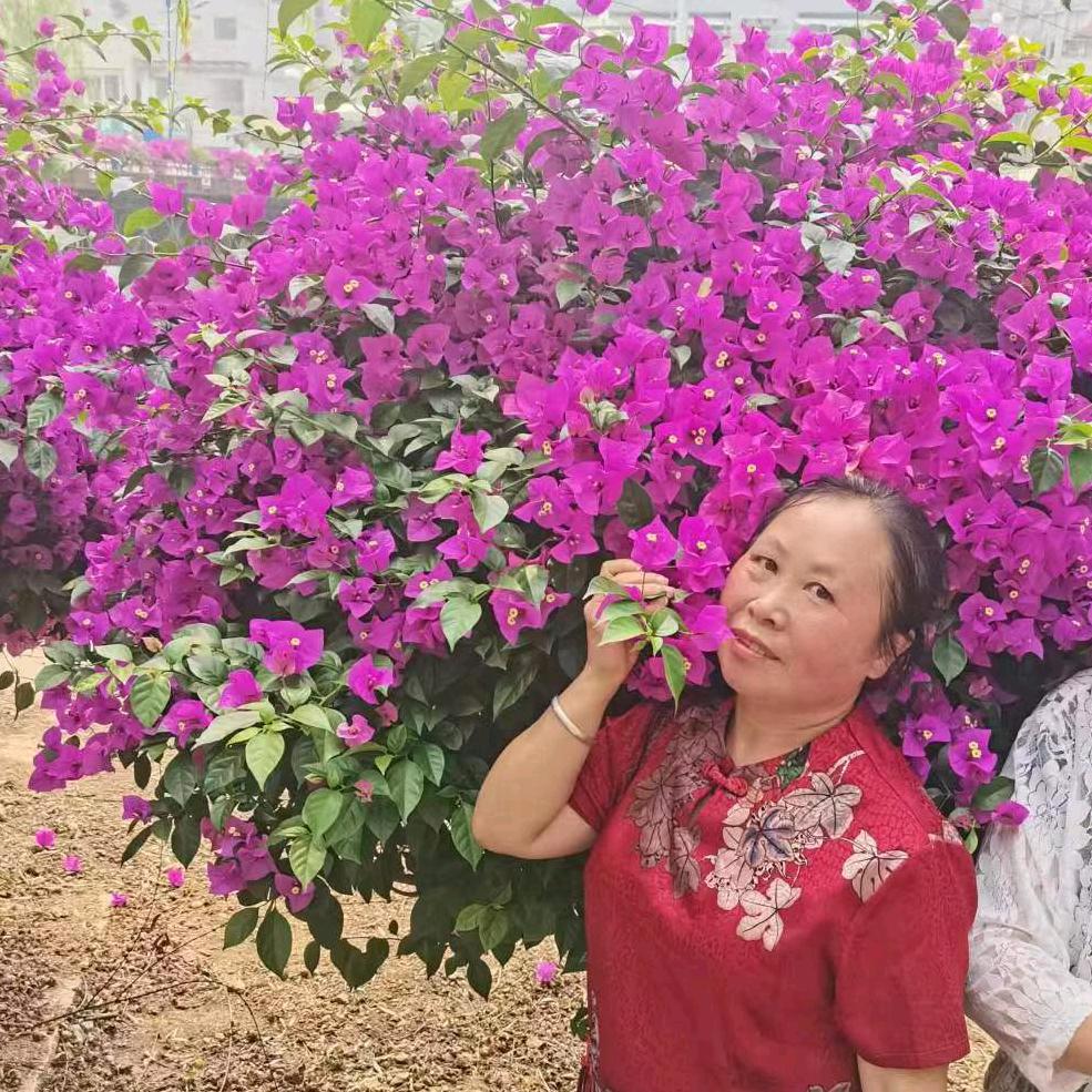 堰塘边 八妹洋芋串