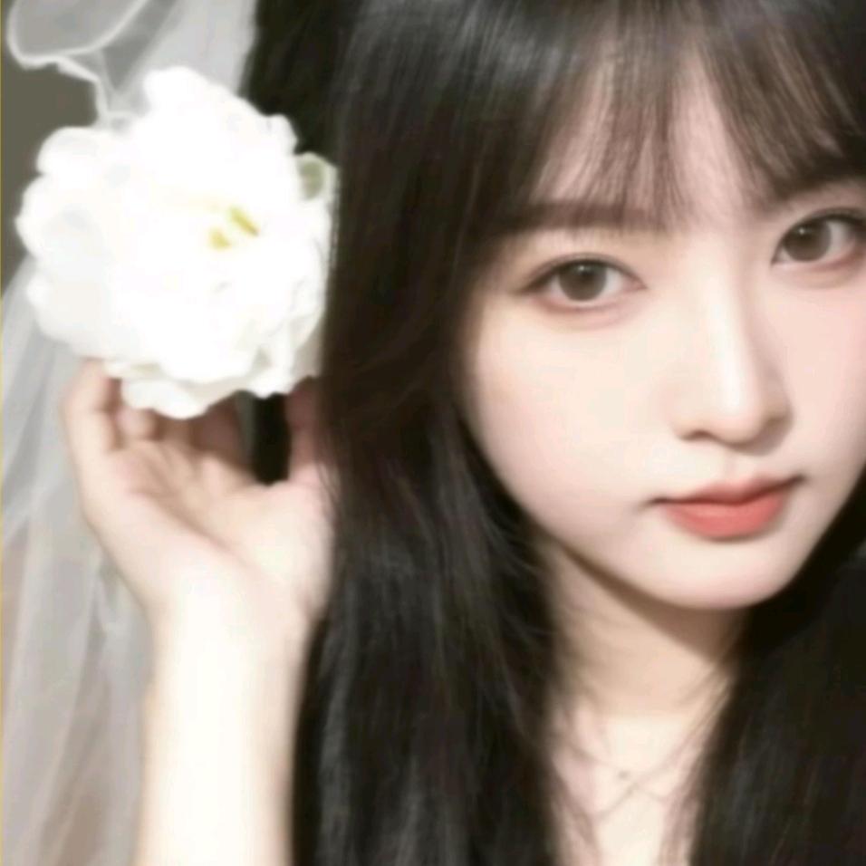 🌻歆然呐💫