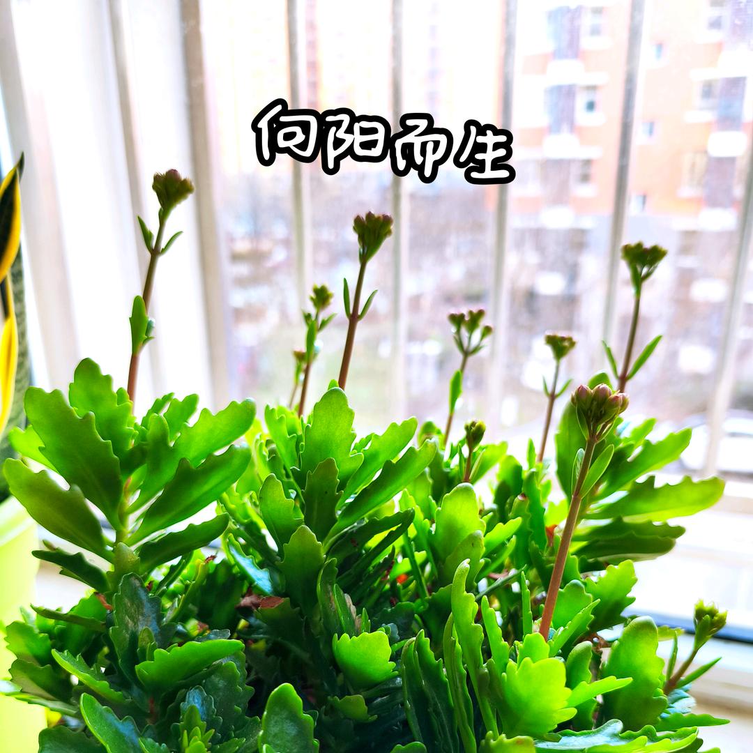 遇见美好