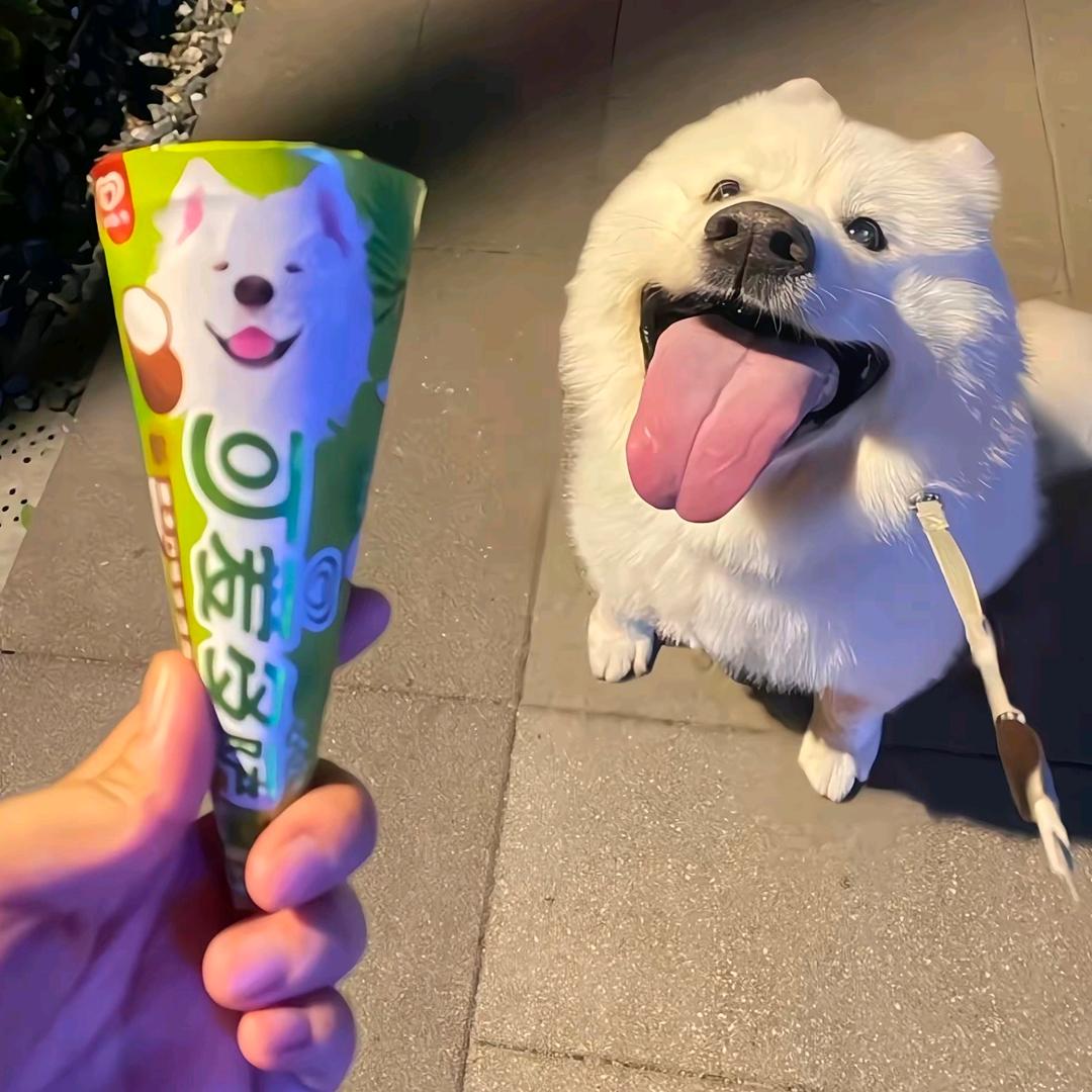 伯约