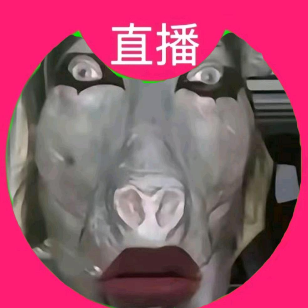 我生来就是魔丸