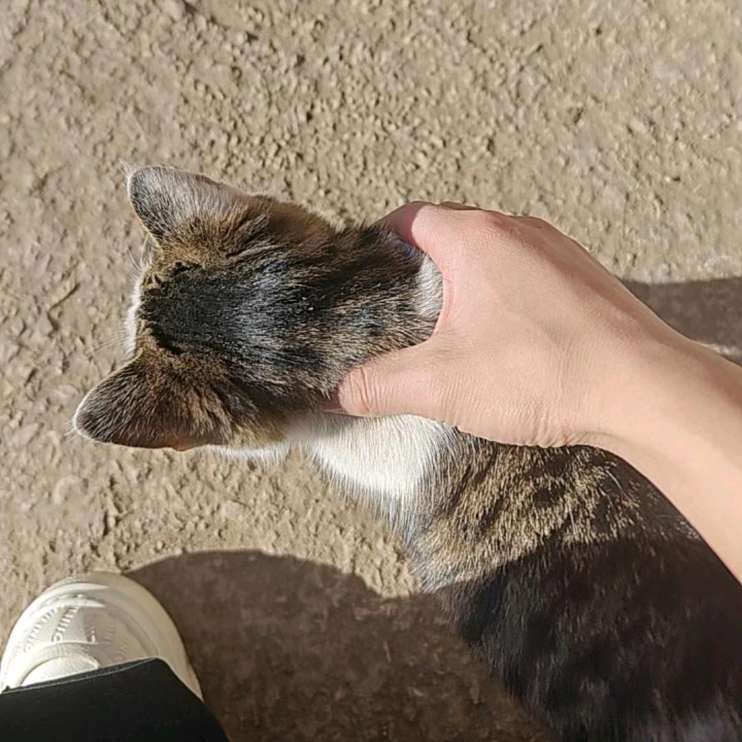 姝……