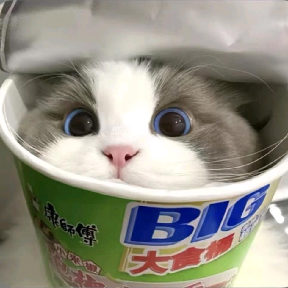 外面风有点冷~~