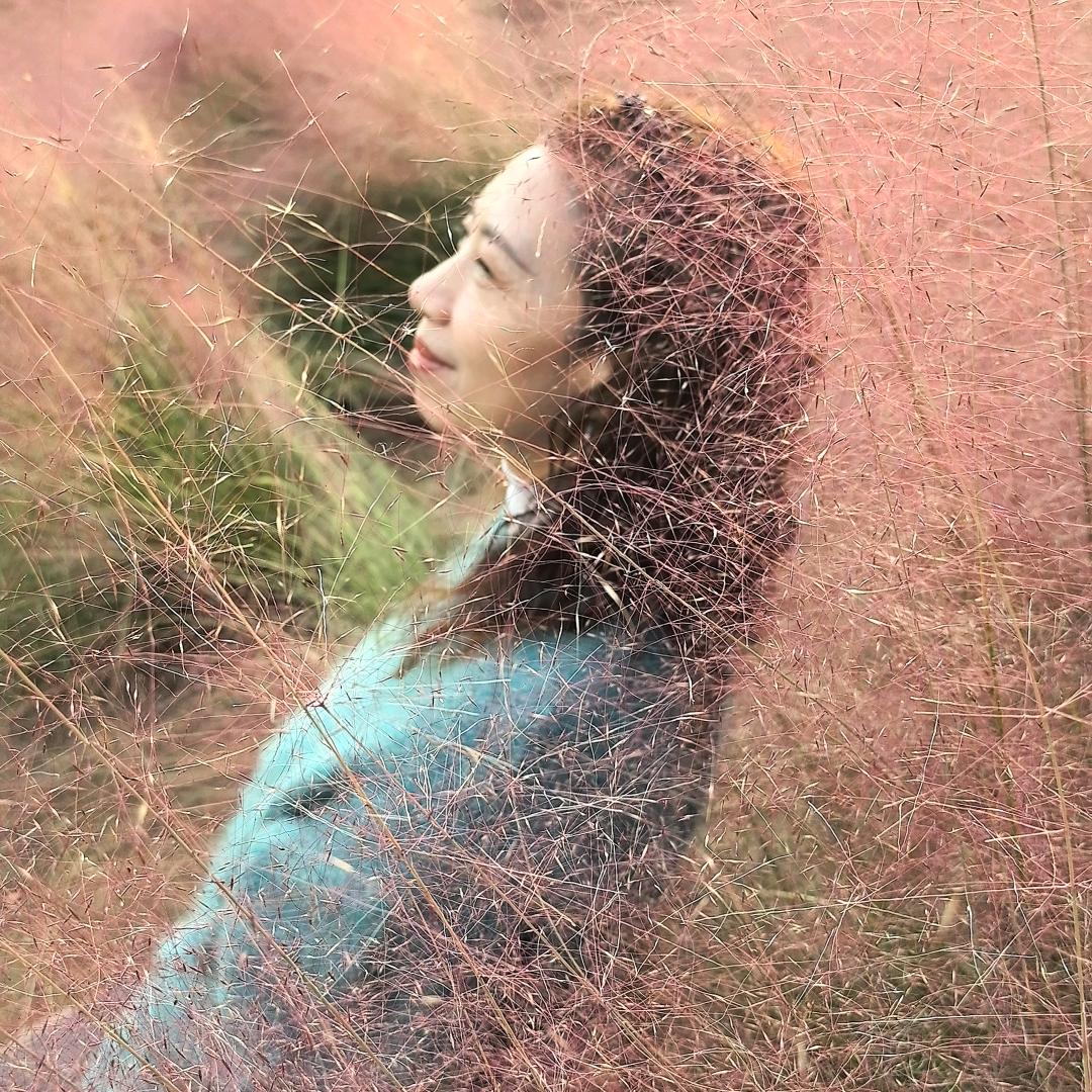 钱莱