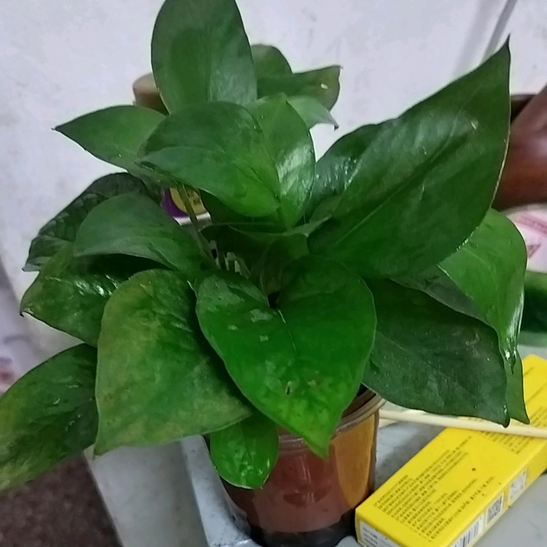 忘掉过去重新开始