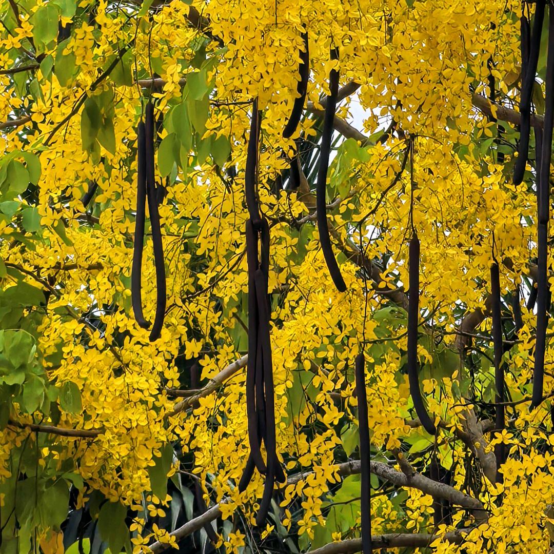 大家一起来蹲蹲