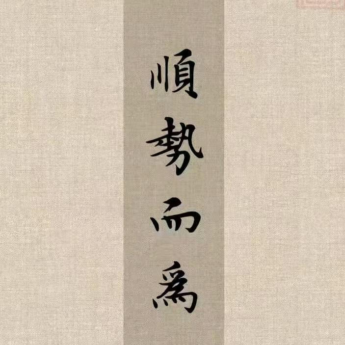 💫向阳而生💫