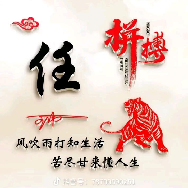 货运任帮主