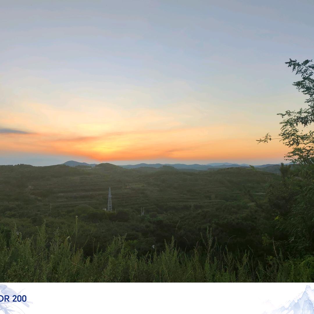 葡萄何时熟…静候再静候