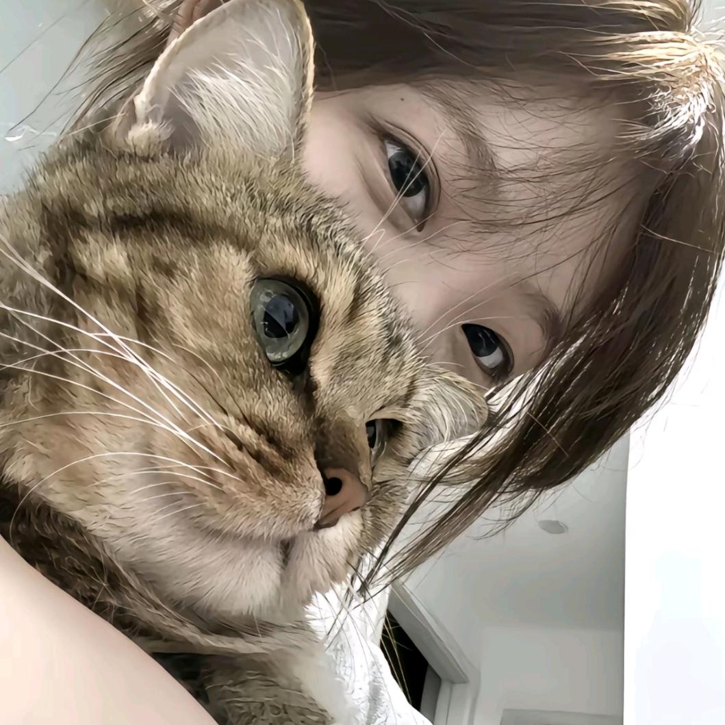 𝑸𝒊𝒂𝒏.