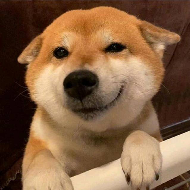 棠舟小汪（三角洲行动）