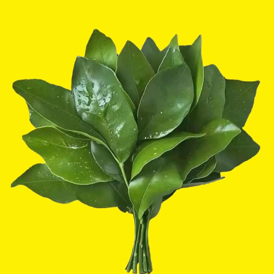 一只妖