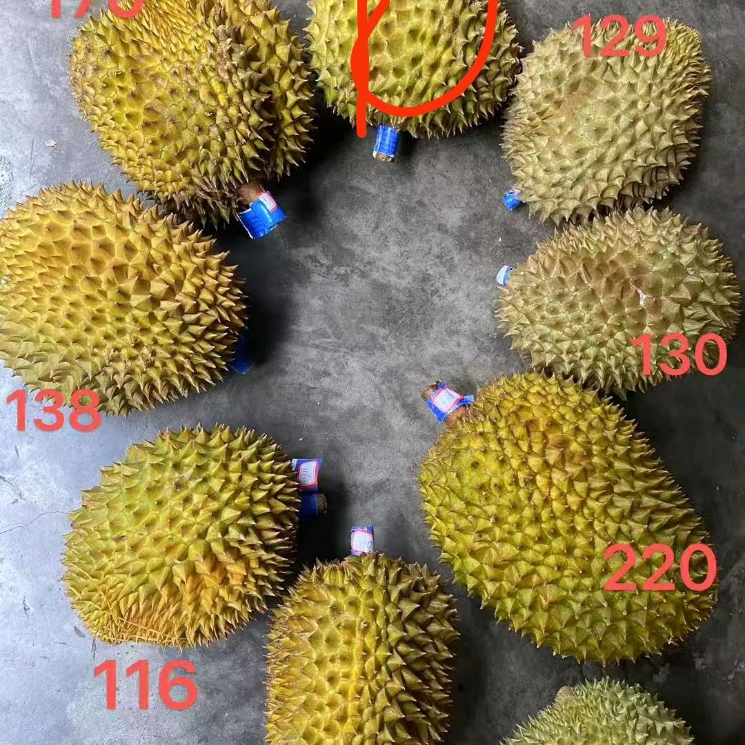 飘然
