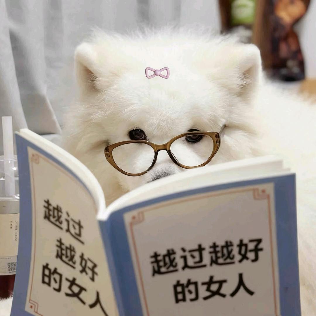挽玥🍡