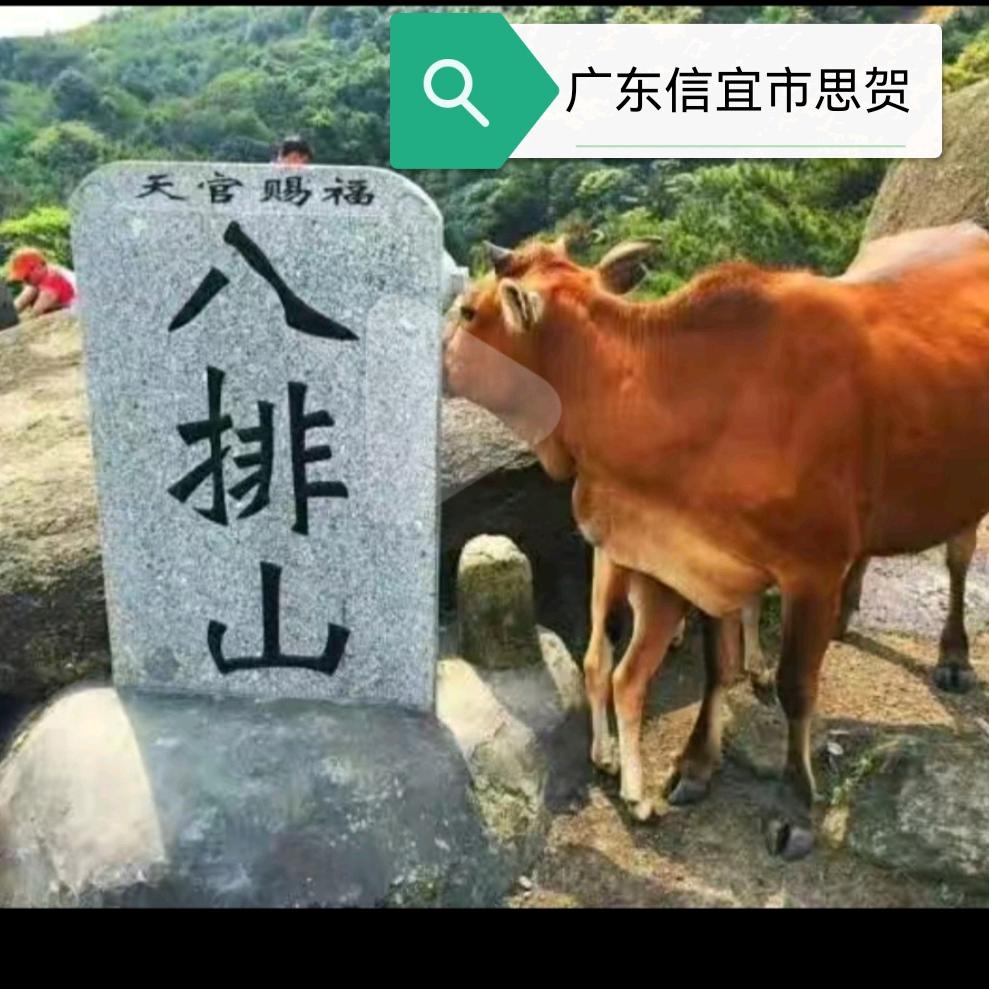 风景依然在（广东嫁四川）