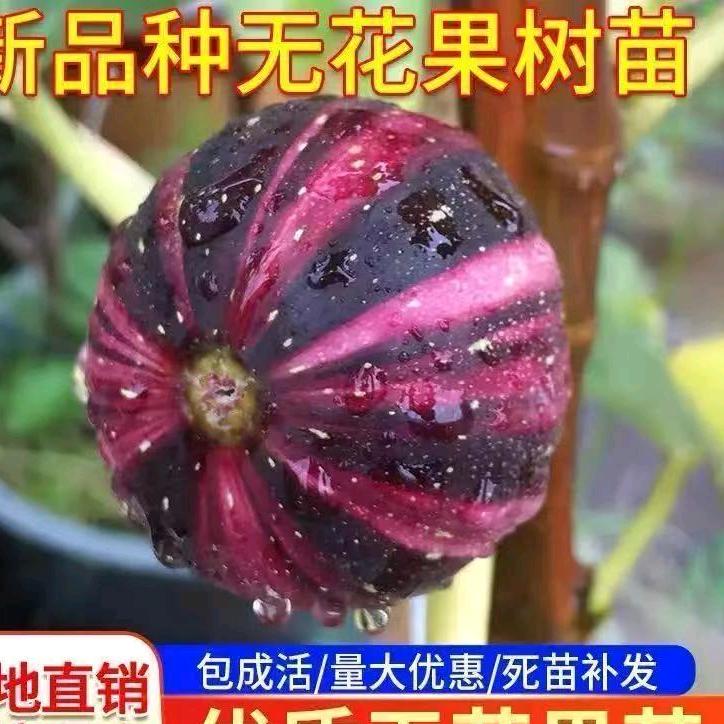 亿达园艺