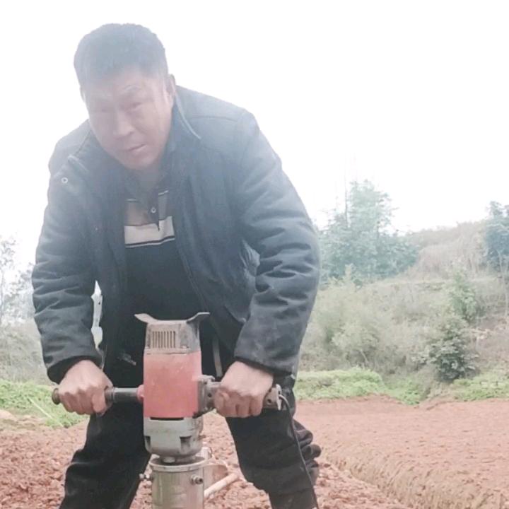 杨七郎