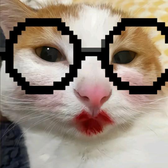 尹柯.