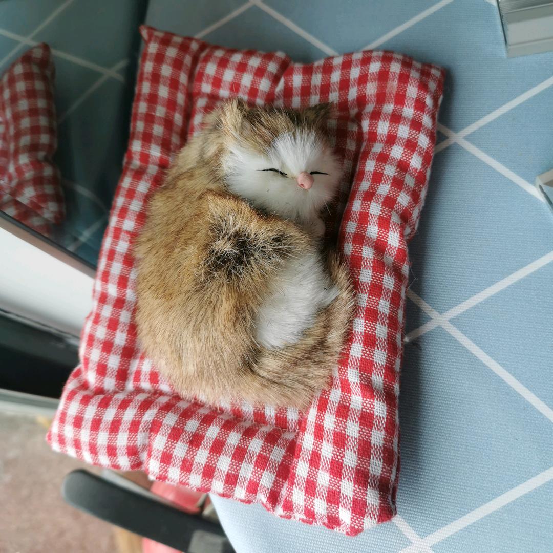 奶爸•益智玩具