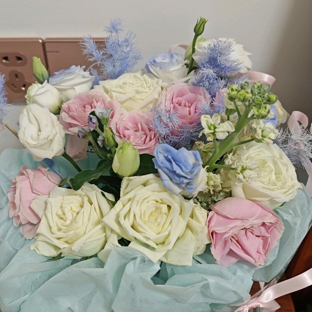 苏嘉楠的生活坊