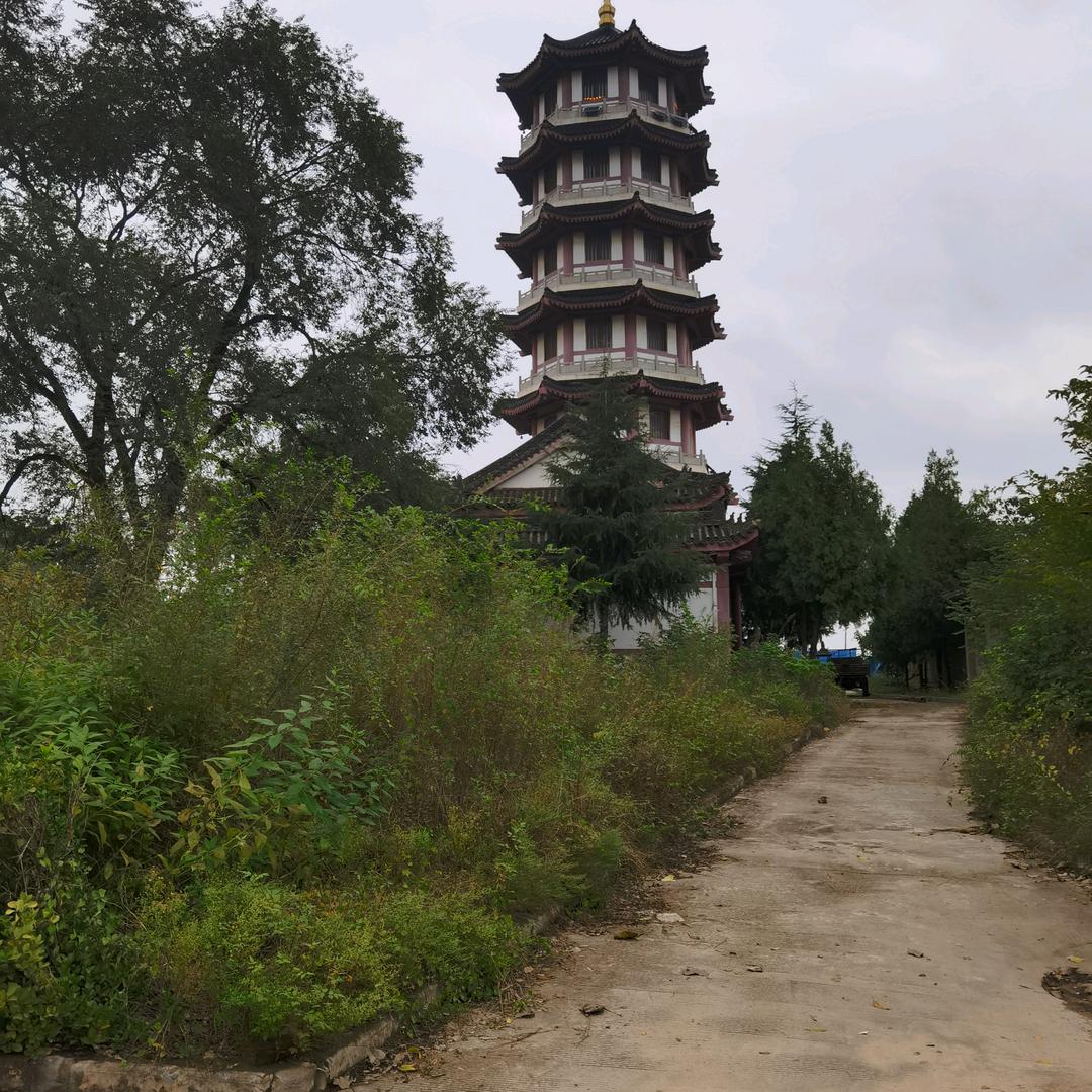 淼森创意工作室（手游）