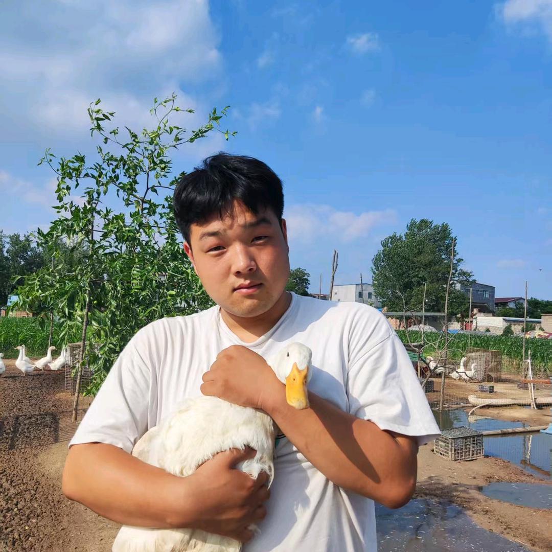 阿张收土货