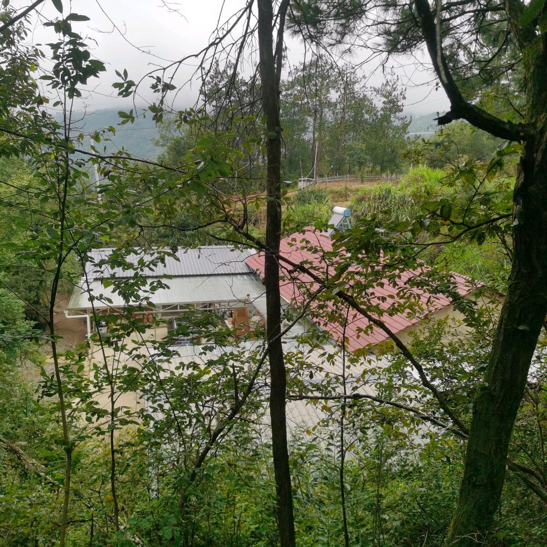 村房短住~归真家庭农场