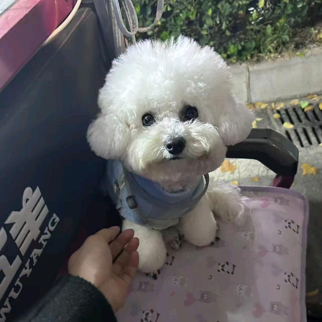 若惜缘，必珍惜