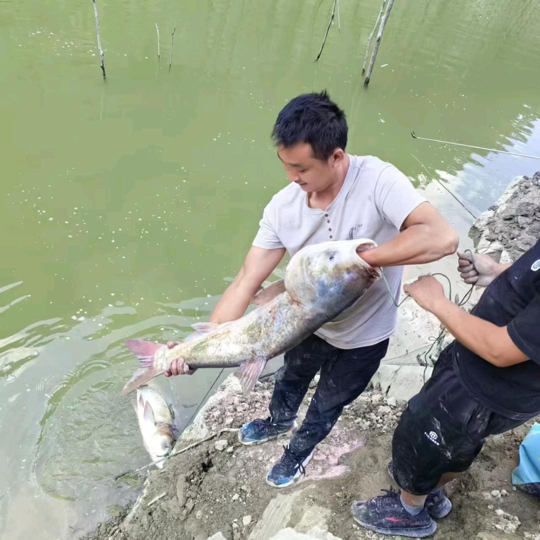 我姓王，住隔壁