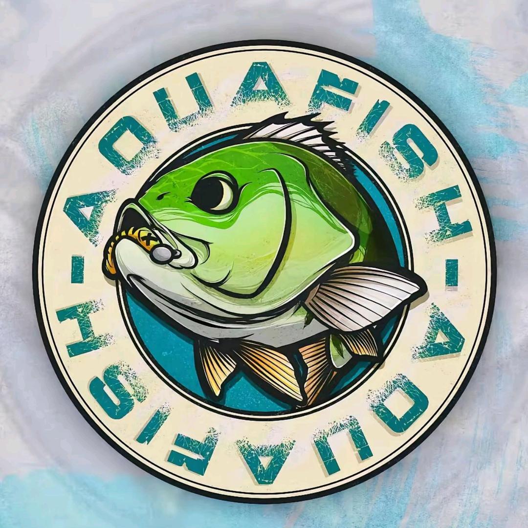 小陈不打龟🎣