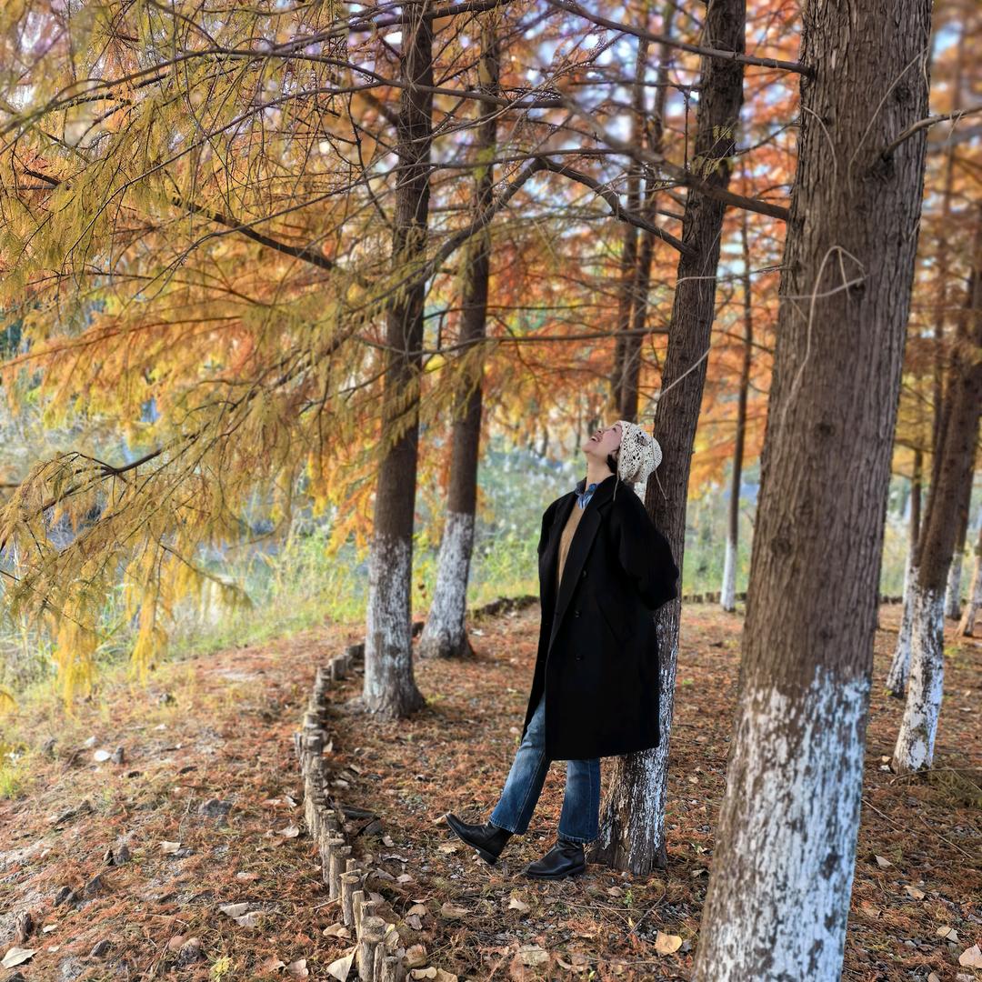 七彩虹斑斓花朵